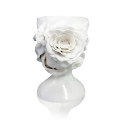 Vase, Flower